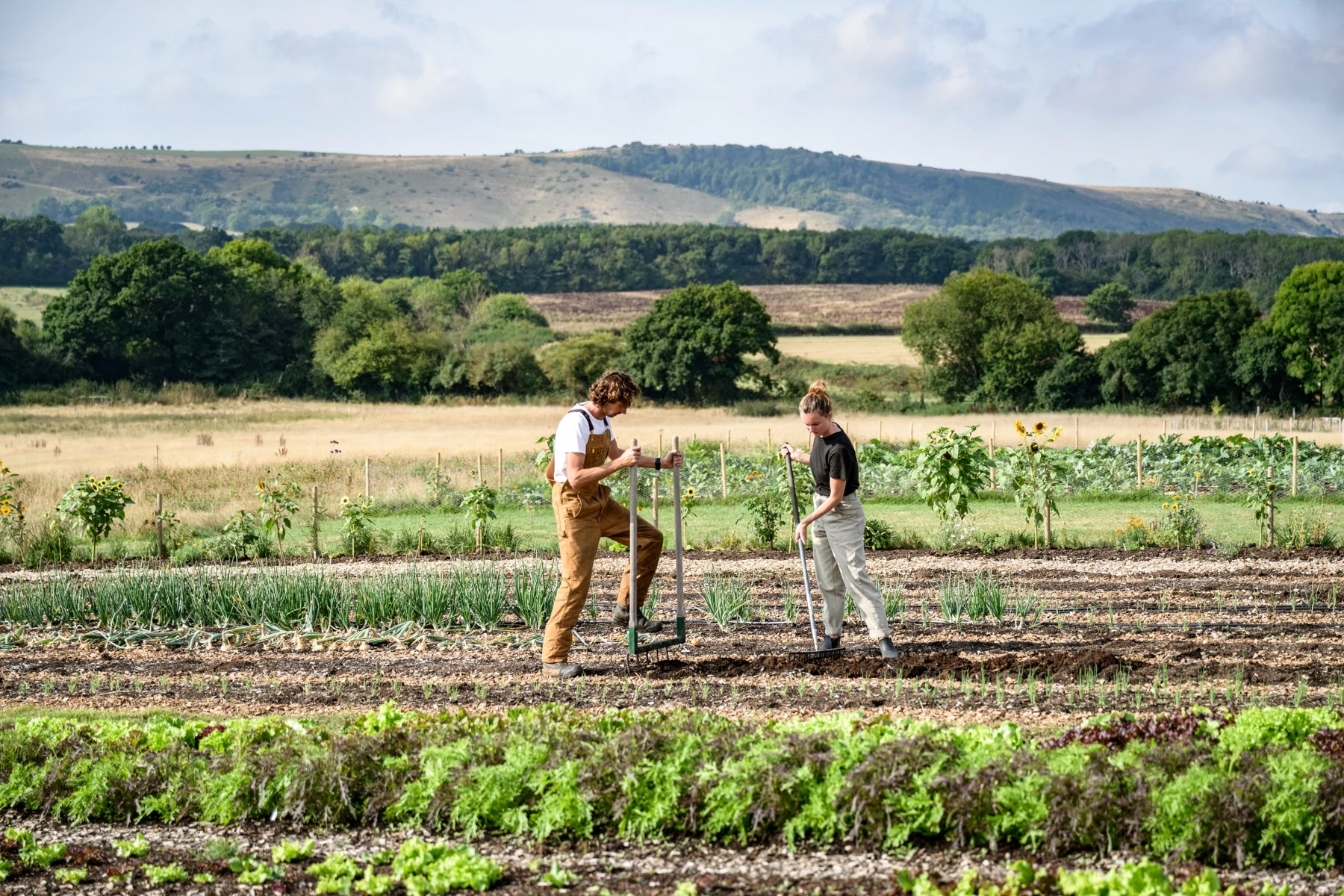 Two people working together on a regenerative farm